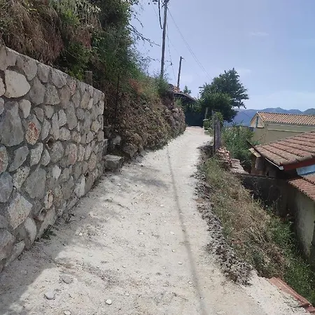 Basil & 招待所 Lazaráta