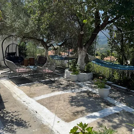 招待所 Basil & 3*