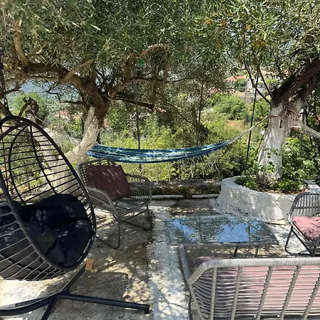 Basil & Guest house Lazarata