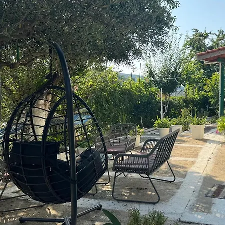 Basil & Guest house