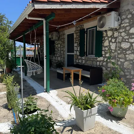 Basil & Guest house *