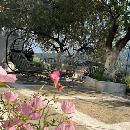 Basil & Guest house Lazarata